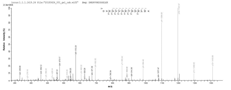 Based on the SEQUEST from database of E.coli host and target protein, the LC-MS/MS Analysis result of this product could indicate that this peptide derived from E.coli-expressed Homo sapiens (Human) FGB.Recombinant Human Fibrinogen Beta Chain (FGB) Protein (His)