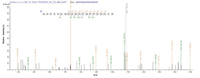 Based on the SEQUEST from database of E.coli host and target protein, the LC-MS/MS Analysis result of this product could indicate that this peptide derived from E.coli-expressed Homo sapiens (Human) FLG.Recombinant Human Filaggrin (FLG) Protein (His-SUMO)