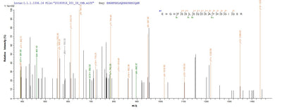 Based on the SEQUEST from database of E.coli host and target protein, the LC-MS/MS Analysis result of this product could indicate that this peptide derived from E.coli-expressed Homo sapiens (Human) FLG.Recombinant Human Filaggrin (FLG) Protein (His-SUMO)