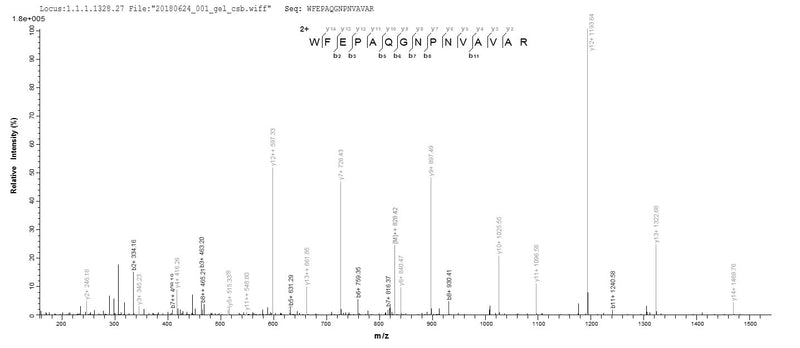 Based on the SEQUEST from database of E.coli host and target protein, the LC-MS/MS Analysis result of this product could indicate that this peptide derived from E.coli-expressed Homo sapiens (Human) IZUMO1R.Recombinant Human Sperm-Egg Fusion Protein Juno (IZUMO1R) Protein (His)