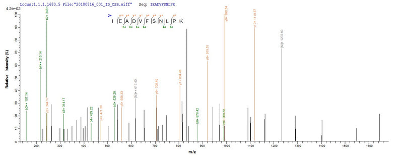 Based on the SEQUEST from database of E.coli host and target protein, the LC-MS/MS Analysis result of this product could indicate that this peptide derived from E.coli-expressed Homo sapiens (Human) FSHR.Recombinant Human Follicle-Stimulating Hormone Receptor (FSHR) Protein (His)