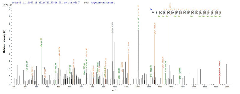 Based on the SEQUEST from database of E.coli host and target protein, the LC-MS/MS Analysis result of this product could indicate that this peptide derived from E.coli-expressed Homo sapiens (Human) FSHR.Recombinant Human Follicle-Stimulating Hormone Receptor (FSHR) Protein (His)