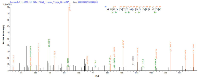 Based on the SEQUEST from database of E.coli host and target protein, the LC-MS/MS Analysis result of this product could indicate that this peptide derived from E.coli-expressed Mus musculus (Mouse) Gad2.