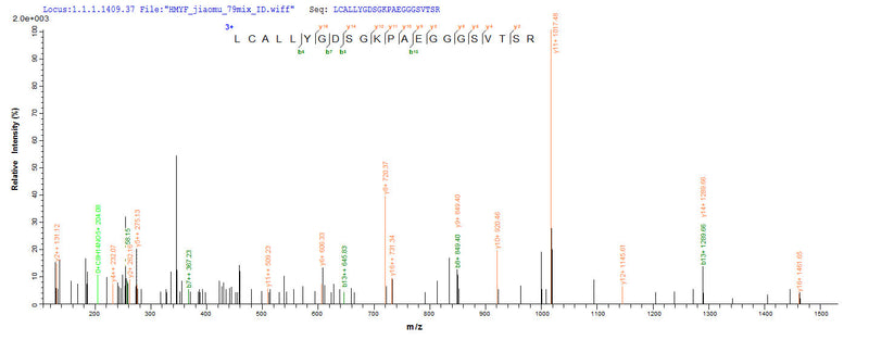 Based on the SEQUEST from database of E.coli host and target protein, the LC-MS/MS Analysis result of this product could indicate that this peptide derived from E.coli-expressed Mus musculus (Mouse) Gad2.
