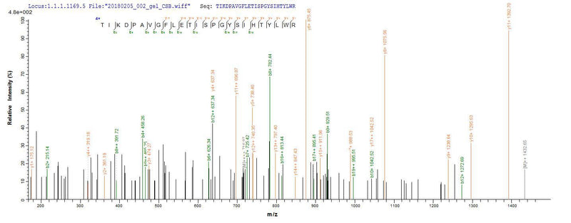 Based on the SEQUEST from database of E.coli host and target protein, the LC-MS/MS Analysis result of this product could indicate that this peptide derived from E.coli-expressed Homo sapiens (Human) GBA.Recombinant Human Lysosomal Acid Glucosylceramidase (GBA1) Protein (His-SUMO&Myc)