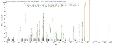 Based on the SEQUEST from database of E.coli host and target protein, the LC-MS/MS Analysis result of this product could indicate that this peptide derived from E.coli-expressed Homo sapiens (Human) GBA.Recombinant Human Lysosomal Acid Glucosylceramidase (GBA1) Protein (His-SUMO&Myc)