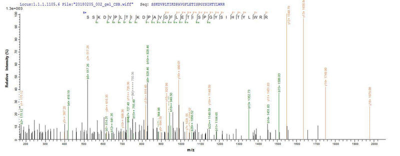Based on the SEQUEST from database of E.coli host and target protein, the LC-MS/MS Analysis result of this product could indicate that this peptide derived from E.coli-expressed Homo sapiens (Human) GBA.Recombinant Human Lysosomal Acid Glucosylceramidase (GBA1) Protein (His-SUMO&Myc)