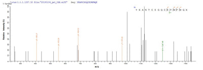 Based on the SEQUEST from database of E.coli host and target protein, the LC-MS/MS Analysis result of this product could indicate that this peptide derived from E.coli-expressed Homo sapiens (Human) GDF11.Recombinant Human Growth/Differentiation Factor 11 (GDF11) Protein (His-SUMO)