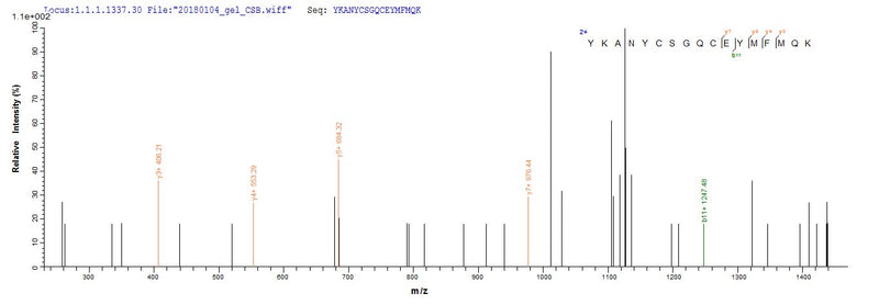 Based on the SEQUEST from database of E.coli host and target protein, the LC-MS/MS Analysis result of this product could indicate that this peptide derived from E.coli-expressed Homo sapiens (Human) GDF11.Recombinant Human Growth/Differentiation Factor 11 (GDF11) Protein (His-SUMO)