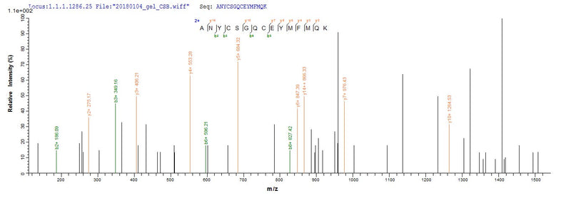 Based on the SEQUEST from database of E.coli host and target protein, the LC-MS/MS Analysis result of this product could indicate that this peptide derived from E.coli-expressed Homo sapiens (Human) GDF11.Recombinant Human Growth/Differentiation Factor 11 (GDF11) Protein (His-SUMO)