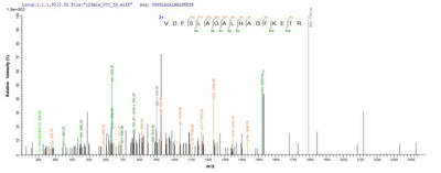 Based on the SEQUEST from database of E.coli host and target protein, the LC-MS/MS Analysis result of this product could indicate that this peptide derived from E.coli-expressed Mus musculus (Mouse) GFAP.Recombinant Mouse Glial Fibrillary Acidic Protein (GFAP) Protein (His-SUMO)