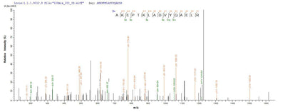 Based on the SEQUEST from database of E.coli host and target protein, the LC-MS/MS Analysis result of this product could indicate that this peptide derived from E.coli-expressed Mus musculus (Mouse) GFAP.Recombinant Mouse Glial Fibrillary Acidic Protein (GFAP) Protein (His-SUMO)