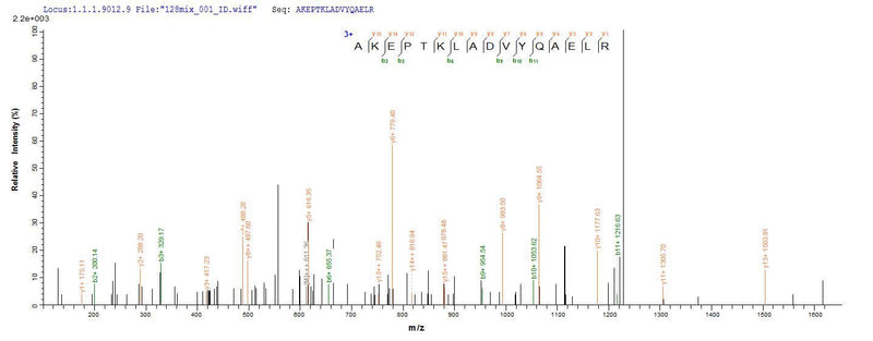 Based on the SEQUEST from database of E.coli host and target protein, the LC-MS/MS Analysis result of this product could indicate that this peptide derived from E.coli-expressed Mus musculus (Mouse) GFAP.Recombinant Mouse Glial Fibrillary Acidic Protein (GFAP) Protein (His-SUMO)
