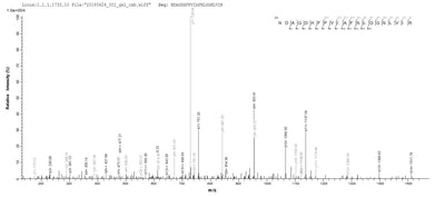 Based on the SEQUEST from database of E.coli host and target protein, the LC-MS/MS Analysis result of this product could indicate that this peptide derived from E.coli-expressed Glycine max (Soybean) (Glycine hispida) N/A.