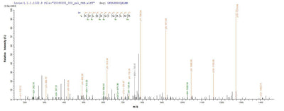 Based on the SEQUEST from database of E.coli host and target protein, the LC-MS/MS Analysis result of this product could indicate that this peptide derived from E.coli-expressed Sus scrofa (Pig) GH1.Recombinant Pig Somatotropin (GH1) Protein (His&Myc)