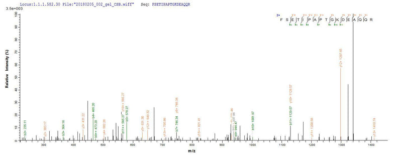 Based on the SEQUEST from database of E.coli host and target protein, the LC-MS/MS Analysis result of this product could indicate that this peptide derived from E.coli-expressed Sus scrofa (Pig) GH1.Recombinant Pig Somatotropin (GH1) Protein (His&Myc)