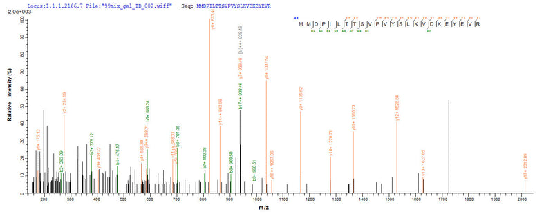 Based on the SEQUEST from database of E.coli host and target protein, the LC-MS/MS Analysis result of this product could indicate that this peptide derived from E.coli-expressed Homo sapiens (Human) GHR.Recombinant Human Growth Hormone Receptor (GHR) Protein (His-SUMO)