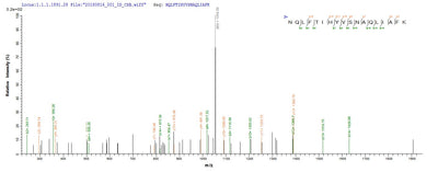 Based on the SEQUEST from database of E.coli host and target protein, the LC-MS/MS Analysis result of this product could indicate that this peptide derived from E.coli-expressed Homo sapiens (Human) GLCE.Recombinant Human D-Glucuronyl C5-Epimerase (GLCE) Protein (His)