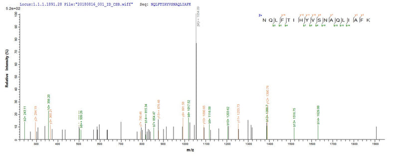 Based on the SEQUEST from database of E.coli host and target protein, the LC-MS/MS Analysis result of this product could indicate that this peptide derived from E.coli-expressed Homo sapiens (Human) GLCE.Recombinant Human D-Glucuronyl C5-Epimerase (GLCE) Protein (His)