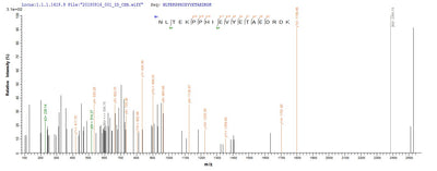 Based on the SEQUEST from database of E.coli host and target protein, the LC-MS/MS Analysis result of this product could indicate that this peptide derived from E.coli-expressed Homo sapiens (Human) GLCE.Recombinant Human D-Glucuronyl C5-Epimerase (GLCE) Protein (His)