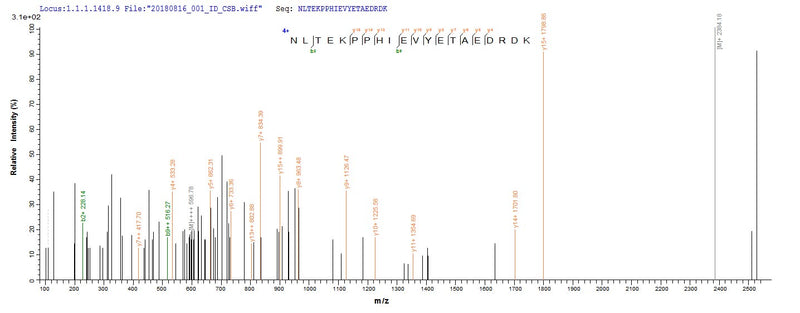 Based on the SEQUEST from database of E.coli host and target protein, the LC-MS/MS Analysis result of this product could indicate that this peptide derived from E.coli-expressed Homo sapiens (Human) GLCE.Recombinant Human D-Glucuronyl C5-Epimerase (GLCE) Protein (His)