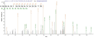 Based on the SEQUEST from database of E.coli host and target protein, the LC-MS/MS Analysis result of this product could indicate that this peptide derived from E.coli-expressed Mus musculus (Mouse) Golm1.Recombinant Mouse Golgi Membrane Protein 1 (GOLM1) Protein (His-SUMO)