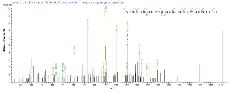 Based on the SEQUEST from database of E.coli host and target protein, the LC-MS/MS Analysis result of this product could indicate that this peptide derived from E.coli-expressed Homo sapiens (Human) GSTP1.