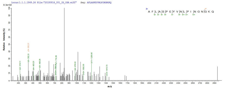 Based on the SEQUEST from database of E.coli host and target protein, the LC-MS/MS Analysis result of this product could indicate that this peptide derived from E.coli-expressed Homo sapiens (Human) GSTP1.