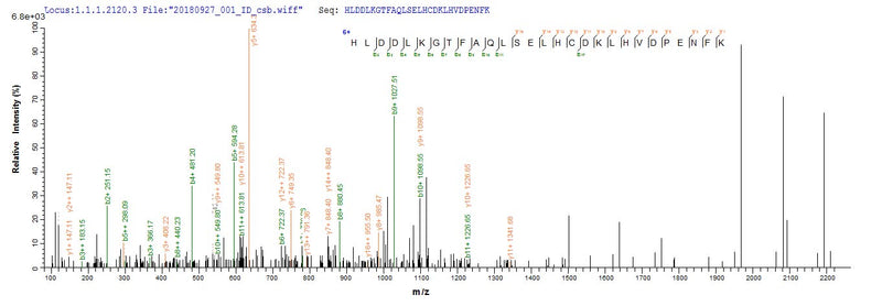 Based on the SEQUEST from database of E.coli host and target protein, the LC-MS/MS Analysis result of this product could indicate that this peptide derived from E.coli-expressed Homo sapiens (Human) HBG1.