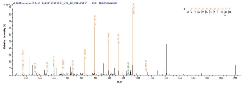 Based on the SEQUEST from database of E.coli host and target protein, the LC-MS/MS Analysis result of this product could indicate that this peptide derived from E.coli-expressed Homo sapiens (Human) HBG1.