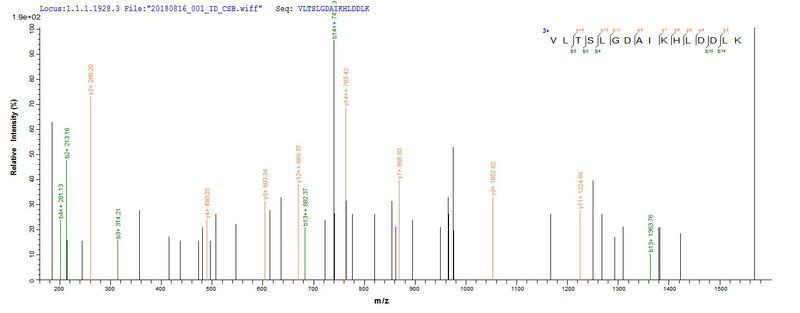 Based on the SEQUEST from database of E.coli host and target protein, the LC-MS/MS Analysis result of this product could indicate that this peptide derived from E.coli-expressed Homo sapiens (Human) HBG2.