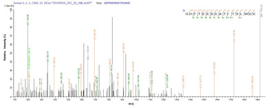 Based on the SEQUEST from database of E.coli host and target protein, the LC-MS/MS Analysis result of this product could indicate that this peptide derived from E.coli-expressed Homo sapiens (Human) HBG2.