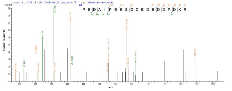 Based on the SEQUEST from database of E.coli host and target protein, the LC-MS/MS Analysis result of this product could indicate that this peptide derived from E.coli-expressed Homo sapiens (Human) HDAC1.