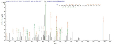 Based on the SEQUEST from database of E.coli host and target protein, the LC-MS/MS Analysis result of this product could indicate that this peptide derived from E.coli-expressed Homo sapiens (Human) HDAC4.Recombinant Human Histone Deacetylase 4 (HDAC4) Protein (GST)