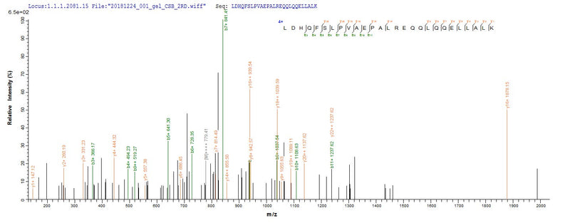 Based on the SEQUEST from database of E.coli host and target protein, the LC-MS/MS Analysis result of this product could indicate that this peptide derived from E.coli-expressed Homo sapiens (Human) HDAC4.Recombinant Human Histone Deacetylase 4 (HDAC4) Protein (GST)