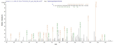 Based on the SEQUEST from database of E.coli host and target protein, the LC-MS/MS Analysis result of this product could indicate that this peptide derived from E.coli-expressed Homo sapiens (Human) HDAC4.Recombinant Human Histone Deacetylase 4 (HDAC4) Protein (GST)