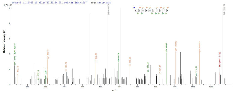 Based on the SEQUEST from database of E.coli host and target protein, the LC-MS/MS Analysis result of this product could indicate that this peptide derived from E.coli-expressed Mus musculus (Mouse) Hist1h2bm.Recombinant Mouse Histone H2B Type 1-M (HIST1H2BM) Protein (His)