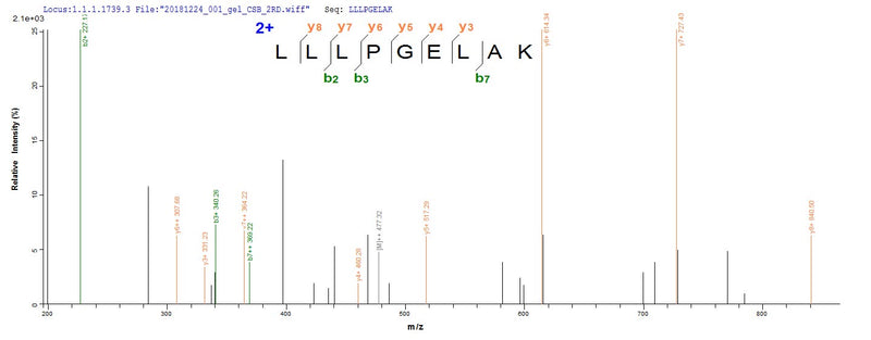 Based on the SEQUEST from database of E.coli host and target protein, the LC-MS/MS Analysis result of this product could indicate that this peptide derived from E.coli-expressed Mus musculus (Mouse) Hist1h2bm.Recombinant Mouse Histone H2B Type 1-M (HIST1H2BM) Protein (His)