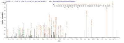 Based on the SEQUEST from database of E.coli host and target protein, the LC-MS/MS Analysis result of this product could indicate that this peptide derived from E.coli-expressed Homo sapiens (Human) HJURP.Recombinant Human Holliday Junction Recognition Protein (HJURP) Protein (His-SUMO)