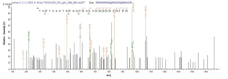 Based on the SEQUEST from database of E.coli host and target protein, the LC-MS/MS Analysis result of this product could indicate that this peptide derived from E.coli-expressed Homo sapiens (Human) HJURP.Recombinant Human Holliday Junction Recognition Protein (HJURP) Protein (His-SUMO)