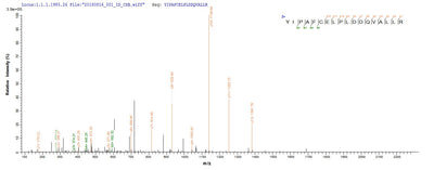 Based on the SEQUEST from database of E.coli host and target protein, the LC-MS/MS Analysis result of this product could indicate that this peptide derived from E.coli-expressed Homo sapiens (Human) HNF4A.Recombinant Human Hepatocyte Nuclear Factor 4-Alpha (HNF4A) Protein (His&Myc)