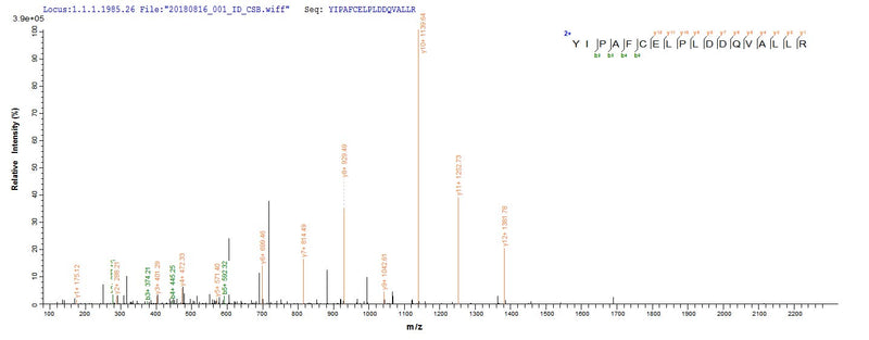 Based on the SEQUEST from database of E.coli host and target protein, the LC-MS/MS Analysis result of this product could indicate that this peptide derived from E.coli-expressed Homo sapiens (Human) HNF4A.Recombinant Human Hepatocyte Nuclear Factor 4-Alpha (HNF4A) Protein (His&Myc)