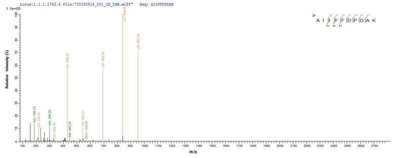 Based on the SEQUEST from database of E.coli host and target protein, the LC-MS/MS Analysis result of this product could indicate that this peptide derived from E.coli-expressed Homo sapiens (Human) HNF4A.Recombinant Human Hepatocyte Nuclear Factor 4-Alpha (HNF4A) Protein (His&Myc)