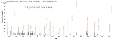 Based on the SEQUEST from database of E.coli host and target protein, the LC-MS/MS Analysis result of this product could indicate that this peptide derived from E.coli-expressed Homo sapiens (Human) HNRNPA1.Recombinant Human Heterogeneous Nuclear Ribonucleoprotein A1 (HNRNPA1) Protein (His)