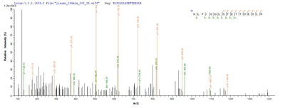 Based on the SEQUEST from database of E.coli host and target protein, the LC-MS/MS Analysis result of this product could indicate that this peptide derived from E.coli-expressed Homo sapiens (Human) HNRNPA1.Recombinant Human Heterogeneous Nuclear Ribonucleoprotein A1 (HNRNPA1) Protein (His)