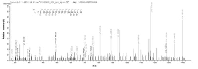 Based on the SEQUEST from database of E.coli host and target protein, the LC-MS/MS Analysis result of this product could indicate that this peptide derived from E.coli-expressed Homo sapiens (Human) HNRNPA3.Recombinant Human Heterogeneous Nuclear Ribonucleoprotein A3 (HNRNPA3) Protein (His&Myc)