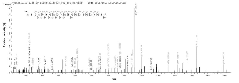 Based on the SEQUEST from database of E.coli host and target protein, the LC-MS/MS Analysis result of this product could indicate that this peptide derived from E.coli-expressed Homo sapiens (Human) HNRNPA3.Recombinant Human Heterogeneous Nuclear Ribonucleoprotein A3 (HNRNPA3) Protein (His&Myc)