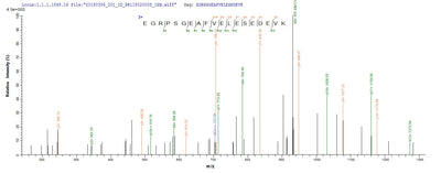 Based on the SEQUEST from database of E.coli host and target protein, the LC-MS/MS Analysis result of this product could indicate that this peptide derived from E.coli-expressed Homo sapiens (Human) HNRNPH1.Recombinant Human Heterogeneous Nuclear Ribonucleoprotein H (HNRNPH1) Protein (His-SUMO)