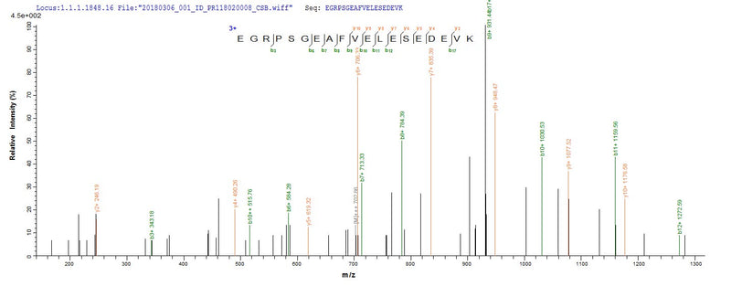 Based on the SEQUEST from database of E.coli host and target protein, the LC-MS/MS Analysis result of this product could indicate that this peptide derived from E.coli-expressed Homo sapiens (Human) HNRNPH1.Recombinant Human Heterogeneous Nuclear Ribonucleoprotein H (HNRNPH1) Protein (His-SUMO)
