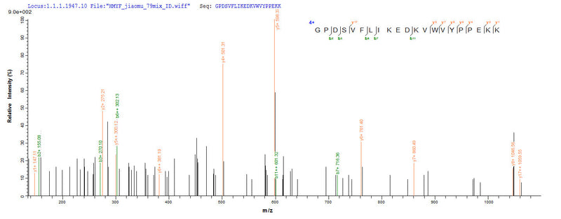Based on the SEQUEST from database of E.coli host and target protein, the LC-MS/MS Analysis result of this product could indicate that this peptide derived from E.coli-expressed Rattus norvegicus (Rat) Hpx.